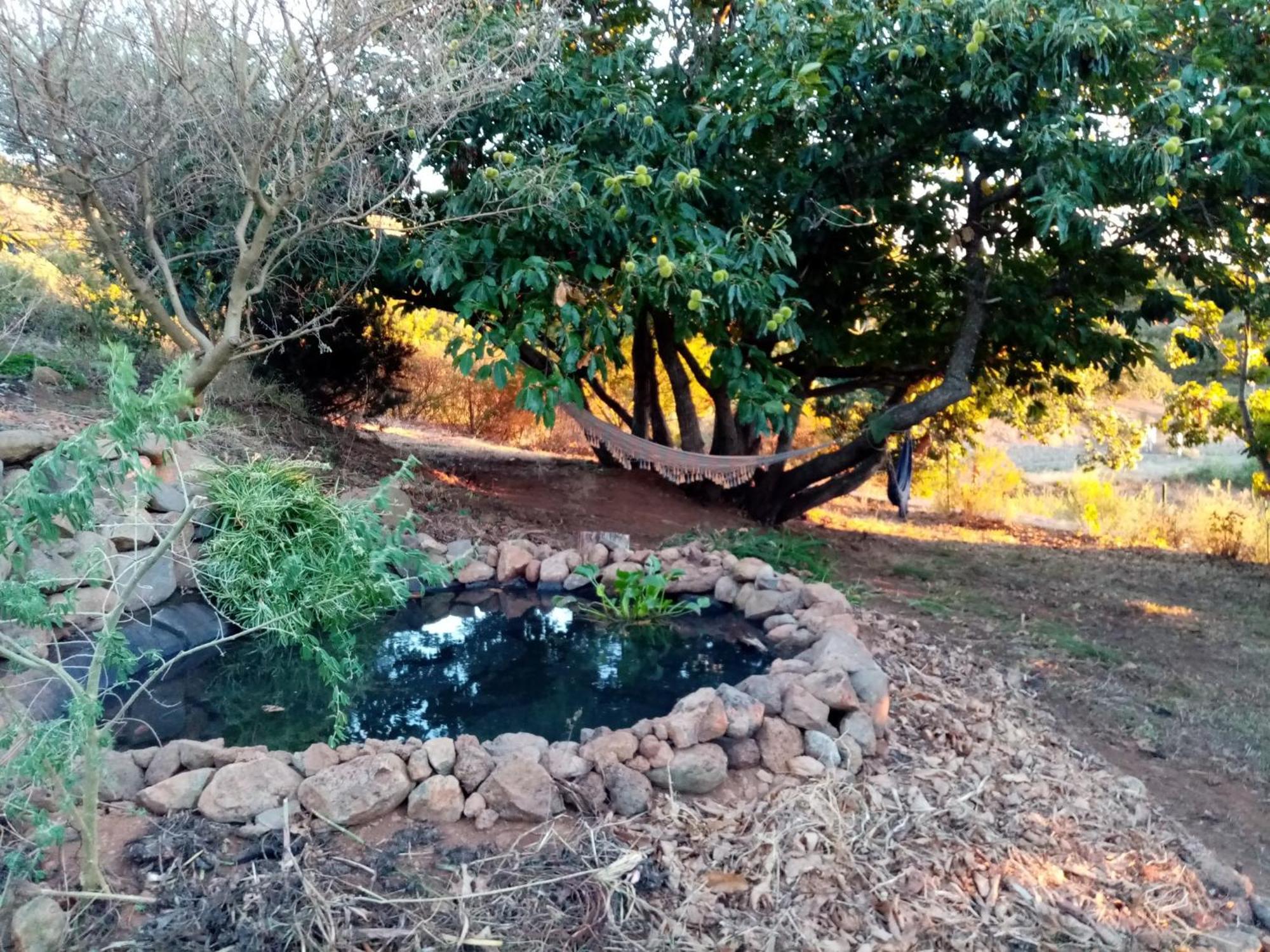 Finca Caboquitos Garafía Exteriör bild