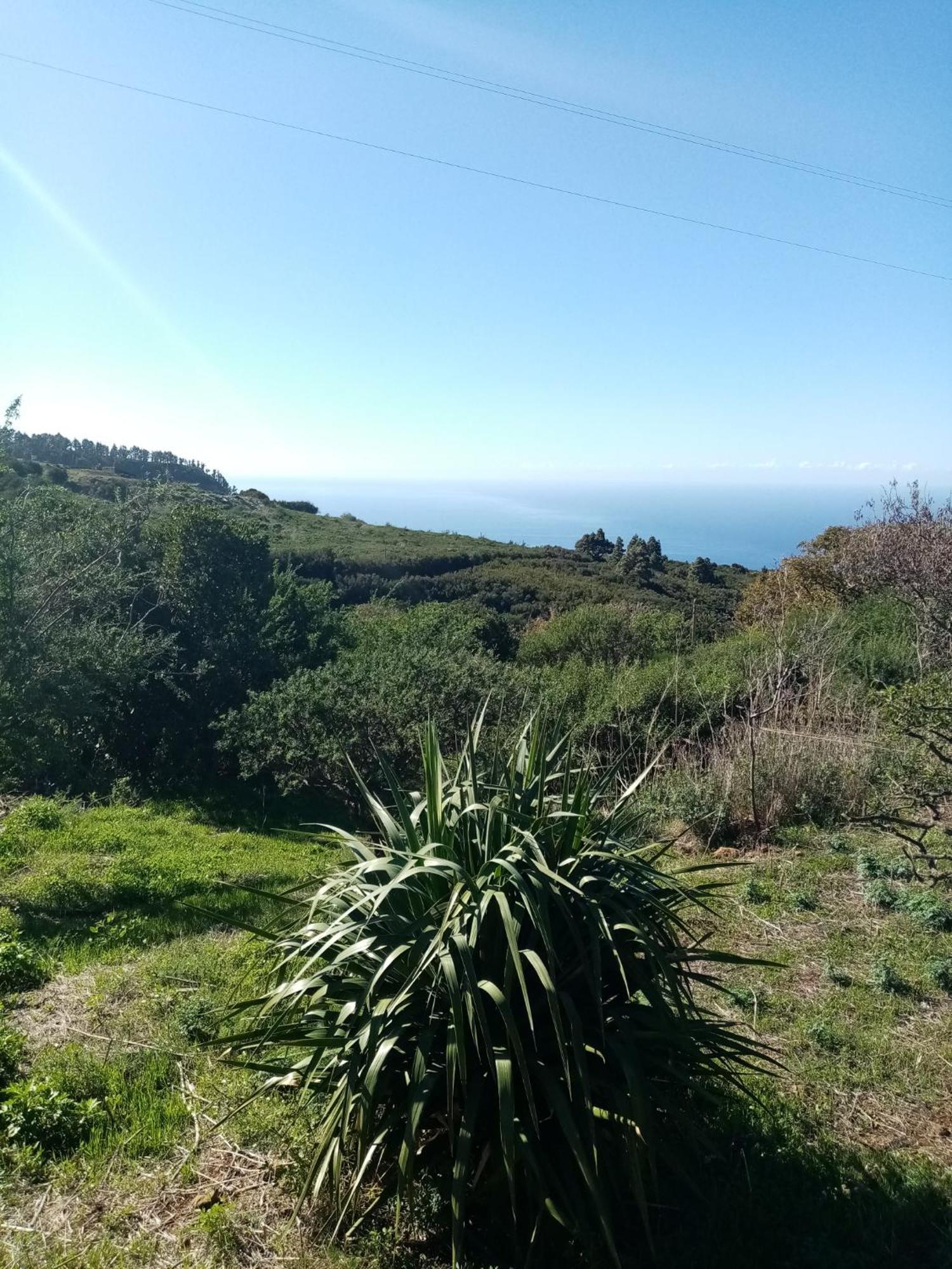 Finca Caboquitos Garafía Exteriör bild